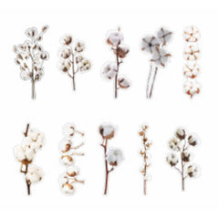 Cotton Boll Stickers | Realistic Cotton Plant Embellishments | Herbarium Sticker | Resin Crafts | Scrapbook Supplies (20 pcs)
