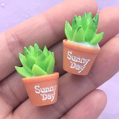 Succulent Plant Cabochons in 3D | Miniature Potted Cactus Embellishments | Kawaii Decoden Supplies (2 pcs / 17mm x 26mm)