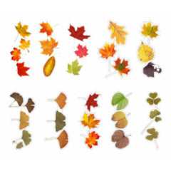 Autumn Leaves Stickers | Realistic Pressed Leaf Sticker for Scrapbooking | Embellishments for Herbarium | Resin Art (20 pcs)