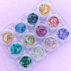 Iridescent Abalone Seashell Flakes | Aura Sea Shell Assortment | Holographic Nature Seashell | Resin Art Supplies | Nail Deco (Set of 12 AB Rainbow Colors)