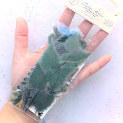 Pressed Leaf Stickers | Realistic Leaves Embellishment for Scrapbook | Herbarium Sticker | Resin Craft Supplies (20 pcs)