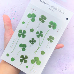 Four Leaf Clover Stickers | Realistic Pressed Leaves Sticker for Herbarium | Resin Inclusions | Embellishments for Scrapbooking