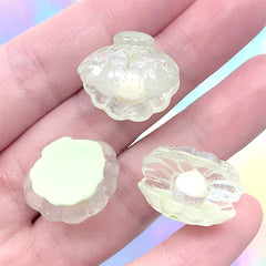 Scallop Shell and Pearl Cabochons | 3D Seashell Embellishment | Kawaii Mermaid Jewellery DIY (3 pcs / Green / 21mm x 19mm)