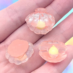 3D Scallop Shell with Pearl Cabochons | Seashell Embellishment | Hair Bow Center | Mermaid Decoden Phone Case DIY (3 pcs / Coral Pink / 21mm x 19mm)