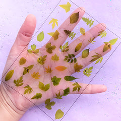 Green Leaf Clear Film Sheet for Resin Art | Floral Leaves Embellishments | UV Resin Jewelry DIY