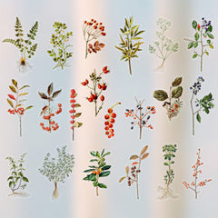 Realistic Plant Stickers | Assorted Leaf with Fruit Sticker | Floral Embellishment for Resin Art | Scrapbook Supplies (20 Designs / 40 pcs)