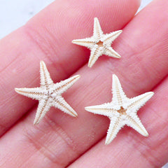 Tiny Starfish Embellishments | Natural Shells | Seashells for Beach Decor | Fairy Garden Decoration | Resin Crafts (3pcs / 1cm to 1.5cm)