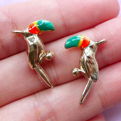 3D Toucan Charms with Enamel | Small Bird Pendant | Animal Jewelry & Accessory Making (Gold / 2 pcs / 13mm x 22mm / 2 Sided)