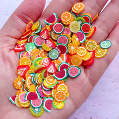 Fruit Polymer Clay Slices (Big) | Vegetable Fimo Clay Cane Slices | Miniature Food & Resin Art (100pcs by Random)