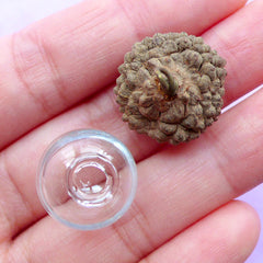 Glass Bubble with Natural Acorn Cap | 16mm Glass Ball | Mini Glass Orb | Glass Globe Pendant | Miniature Terrarium Jewellery (1 Set)