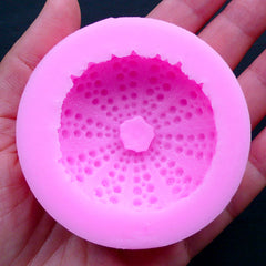 Sea Urchin Shell Silicone Mold | Seashell Fondant Mold | Flexible Epoxy Resin Mould | Gumpaste Mold (45mm x 17mm)