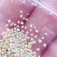 Star Sands from Okinawa Japan | Beach Sand in Star Shaped | Kawaii UV Resin Craft Supplies (5 grams)