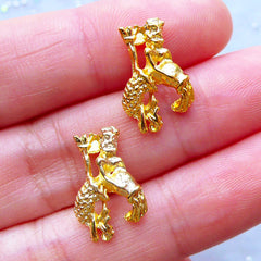 Aquarius Charms | Horoscope Sign Charm | Astrology Zodiac Jewelry | Filling Materials | Kawaii UV Resin Craft (2pcs / Gold / 11mm x 16mm)