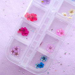Tiny Dried Flowers | Assorted Mini Flower | Nail Art & Resin Craft Supplies (1 Box of 12 Colors)