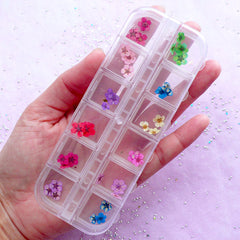 Tiny Dried Flowers | Assorted Mini Flower | Nail Art & Resin Craft Supplies (1 Box of 12 Colors)