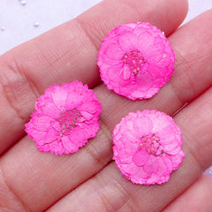 Magenta Dried Flowers | Tiny Pressed Flower | Resin Cabochon Making (3pcs)