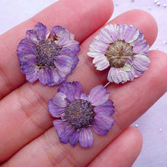 Purple Dried Flowers | Small Pressed Flower | Floral Resin Cabochon DIY (3pcs)