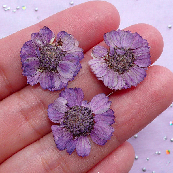 Purple Dried Flowers | Small Pressed Flower | Floral Resin Cabochon DIY (3pcs)