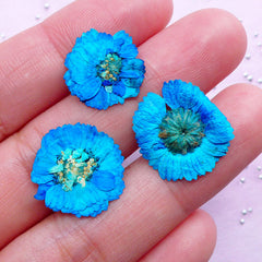 Teal Dried Flowers | Blue Green Mini Pressed Flower | Resin Floral Cabochon DIY (3pcs)