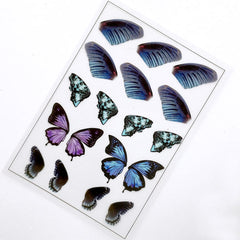 Butterfly Wings Clear Film Sheet for Resin Jewelry Making | Filling Materials | Resin Fillers | Resin Inclusions | Insect Embellishments