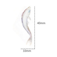 White Koi Fish Clear Film Sticker | 3D Resin Painting | Koi Pond Embellishments | Resin Inclusions (2 Sheets)