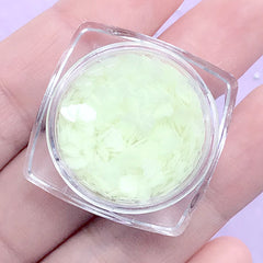 Glow in the Dark Heart Confetti | Resin Fillers | Kawaii Decoden Cabochon Making | Nail Art Supplies (1 gram)