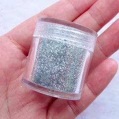 Glitter Powder Supplies | Fairy Glitter Sprinkles | Glitter Roots | Kawaii Resin Art & Nail Decoration (Silver / 4-6 grams)