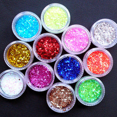 Assorted Iridescent Hexagon Glitter in 1mm | Holographic Confetti | Nail Art Sprinkles | Decoden Cabochon DIY | Glitter Roots Supplies (12 Colors Mix)