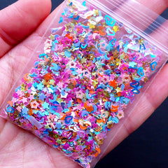 Rainbow Confetti Assortment | Holographic Sprinkles in Heart Star Flower Moon Teardrop Hexagon Shapes | Iridescent Glitters | Nail Art Supplies | Resin Crafts (Colorful Mix / 4 grams)