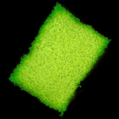 Fluorescent Sand Particles | Glow in the Dark Sand | Phosphorescent Sand | Mini Wishing Jar DIY | Resin Craft (Yellow / 10 grams)