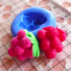 Fruit Mold Grape 14mm Flexible Silicone Mold Miniature Food Kitsch Jewelry Earrings Cupcake Topper Gum Paste Fondant Fimo Polymer Clay MD404