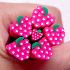 Raspberry Fimo Cane Strawberry Polymer Clay Cane (Large / Big) Miniature Fruit Dollhouse Food Scrapbooking Embellishment Earring Making BC79