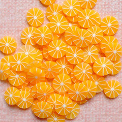 Orange Polymer Clay Cane Fruit Fimo Cane Slices (Cane or Slices) Nail Art Dollhouse Food Jewellery Miniature Sweets Craft Scrapbook CF002