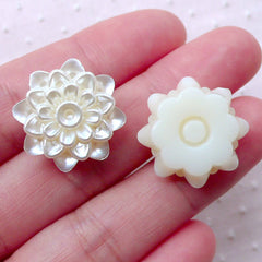 Pearlised Teardrop Cabochons / Tear Drop Faux Pearl / ABS Pearls (Crea, MiniatureSweet, Kawaii Resin Crafts, Decoden Cabochons Supplies
