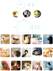 CLEARANCE Kitty Cat Sticker / Kitten Kittie Photo Sticker (38pcs) Seal Label Pet Diary Journal Planner Decoration Animal Scrapbooking Home Decor S305