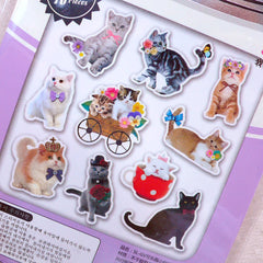 Kitty Sticker Flakes / Photo Soup PVC Stickers / Kawaii Flake Stickers / Clear Deco Sticker (Around 70pcs) Cute Resin Cabochon Making S405